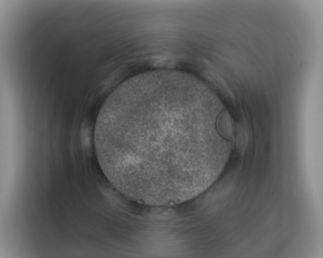 X0000113641154200910091531