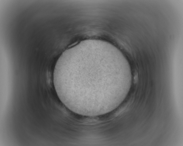 X0000113641156200910091531