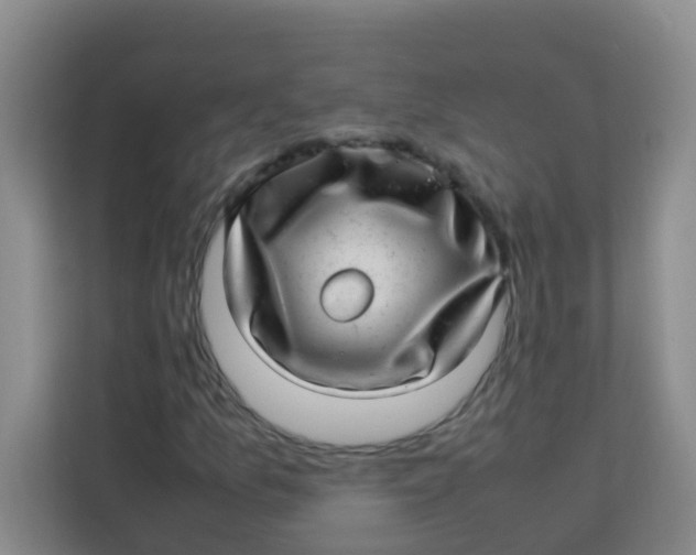 X0000113641157200910091531