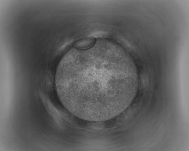 X0000113641158200910091531