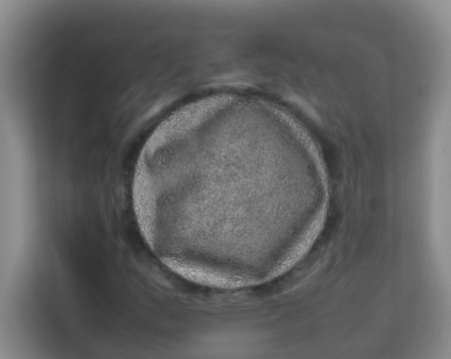 X0000113641159200910091531