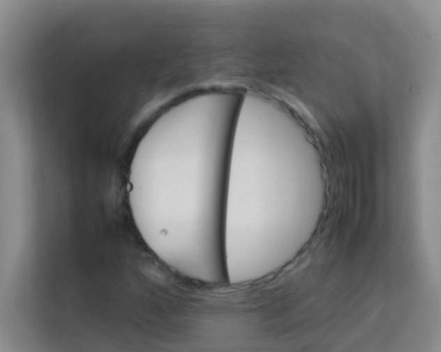 X0000113641160200910091531