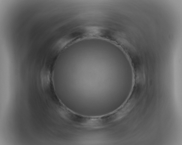 X0000113641161200910091531