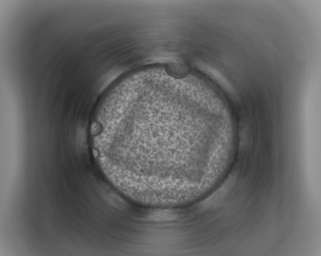 X0000113641162200910091531