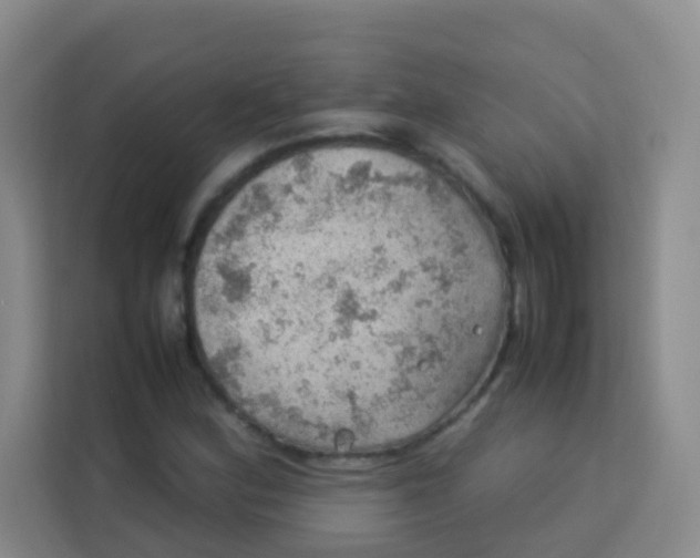 X0000113641164200910091531