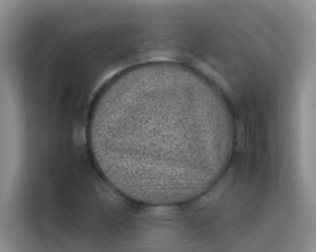 X0000113641166200910091531