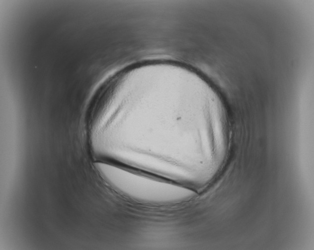 X0000113641167200910091531