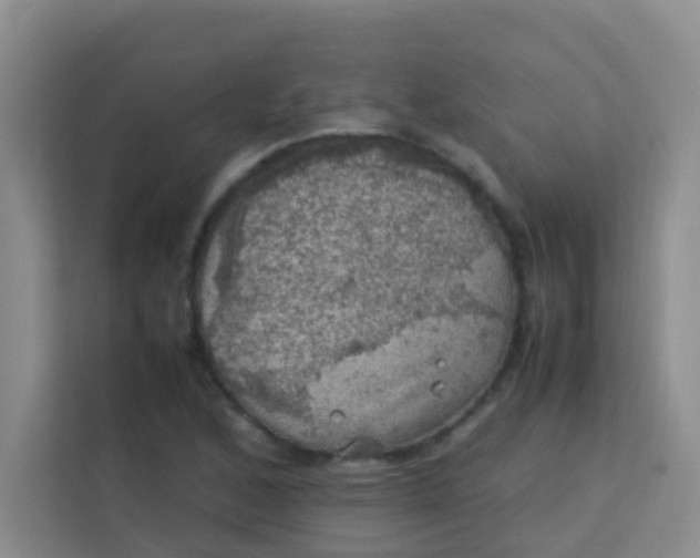 X0000113641168200910091531