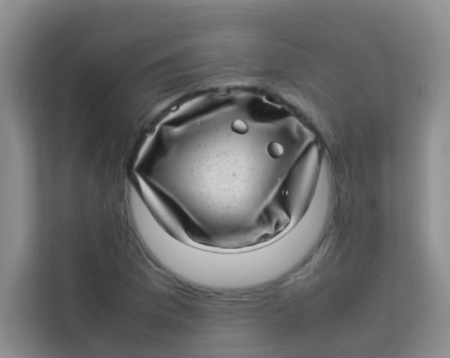 X0000113641169200910091531