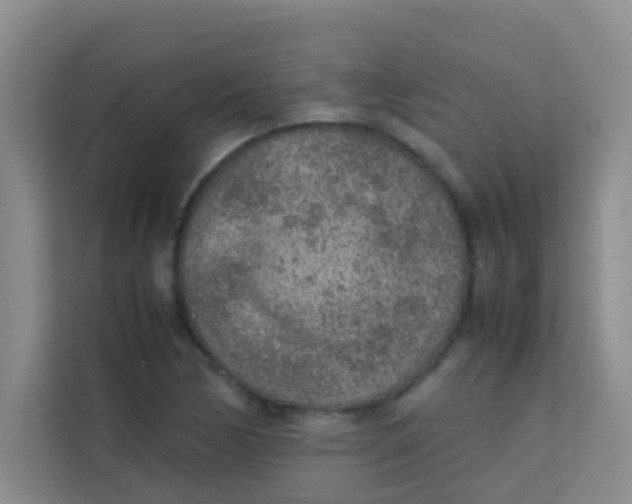 X0000113641170200910091531