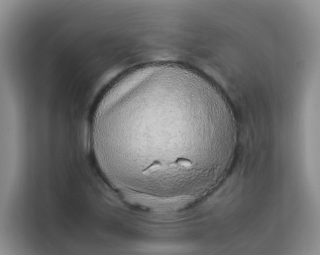 X0000113641171200910091531