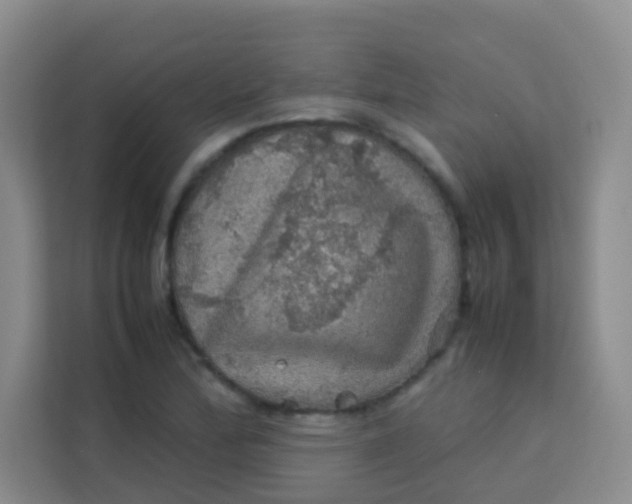 X0000113641172200910091531