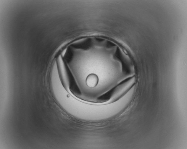 X0000113641173200910091531