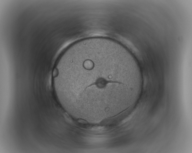 X0000113641174200910091531