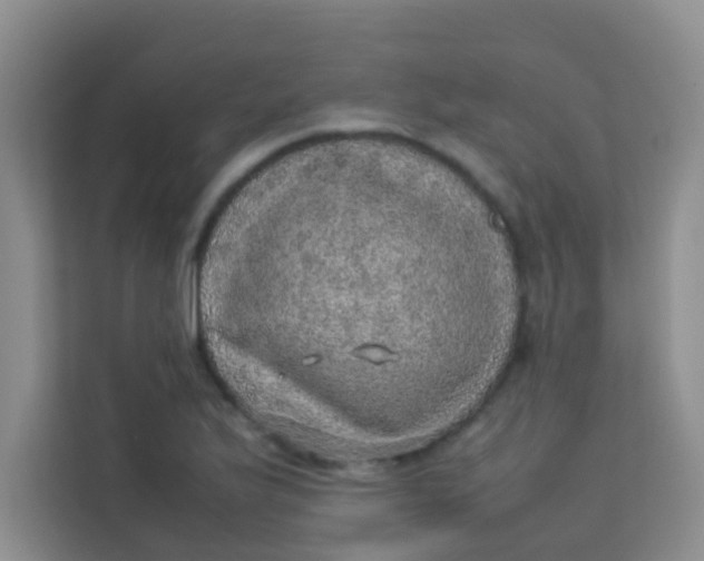 X0000113641175200910091531