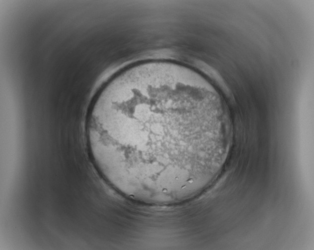 X0000113641176200910091531