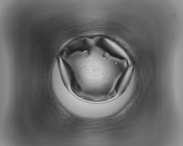 X0000113641177200910091531