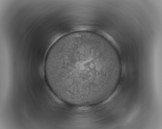 X0000113641178200910091531