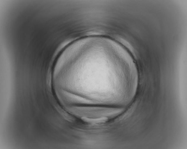 X0000113641179200910091531