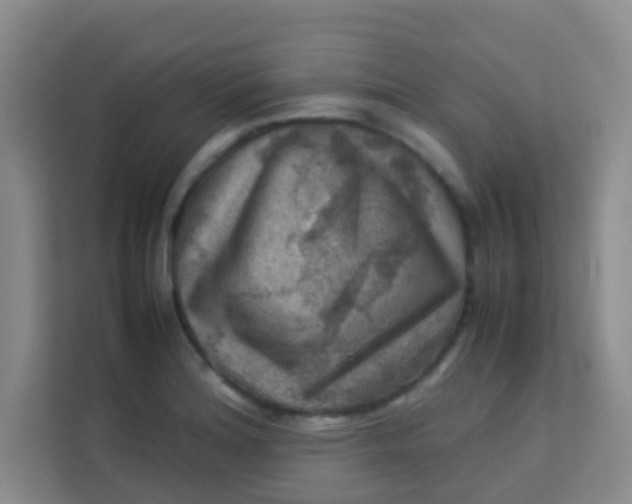 X0000113641180200910091531