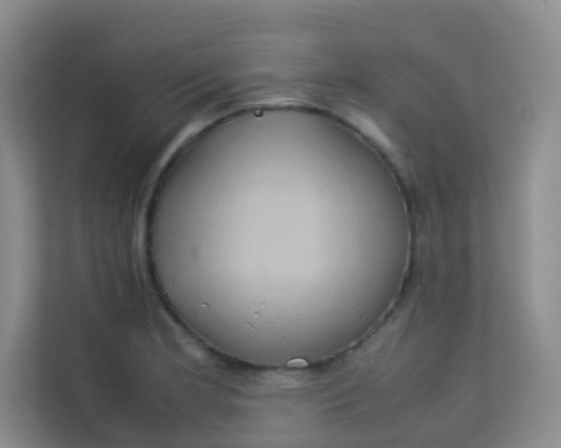 X0000113641181200910091531