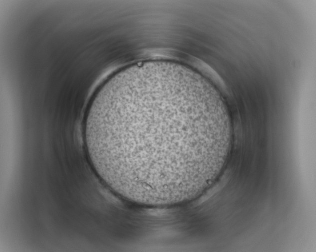 X0000113641182200910091531