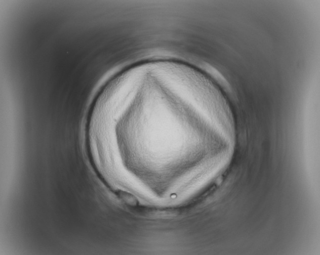 X0000113641183200910091531