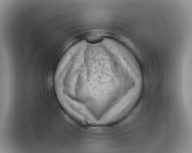 X0000113641185200910091530