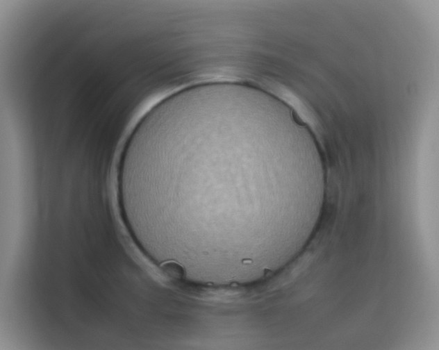 X0000113641187200910091530