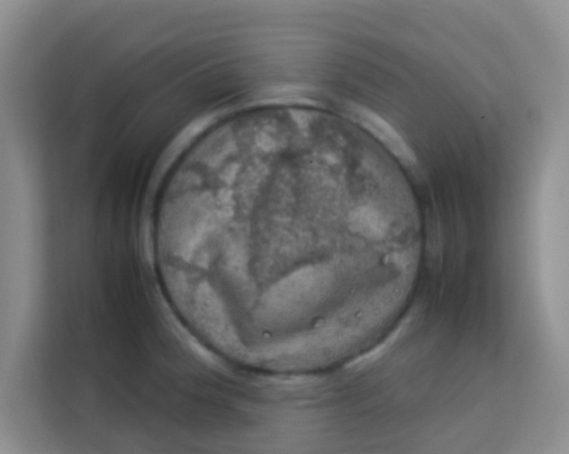 X0000113641188200910091530