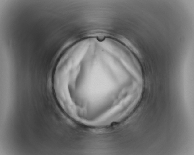 X0000113641189200910091530