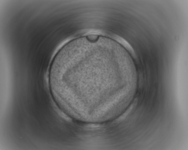 X0000113641190200910091530