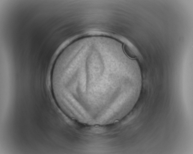 X0000113641191200910091530