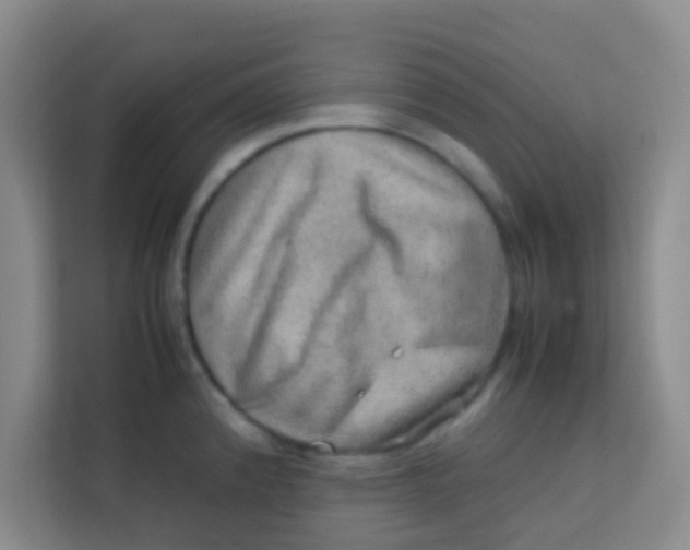 X0000113641192200910091530