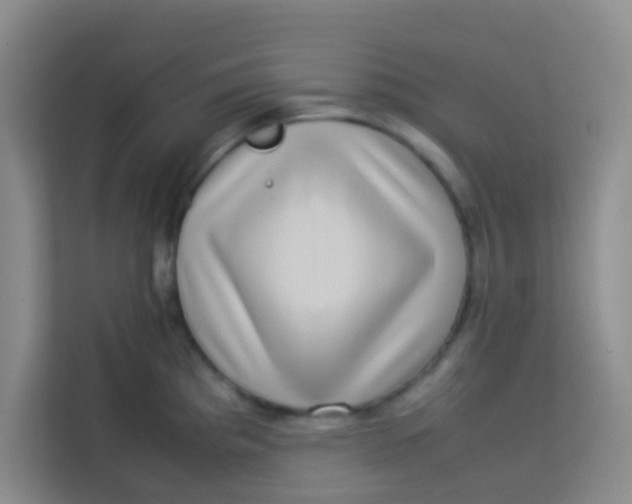 X0000113641193200910091530