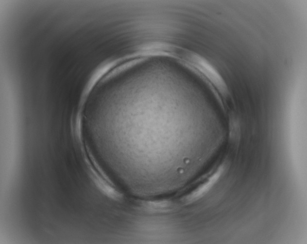 X0000113641196200910091530