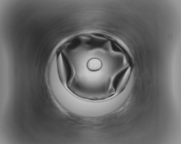 X0000113641197200910091530