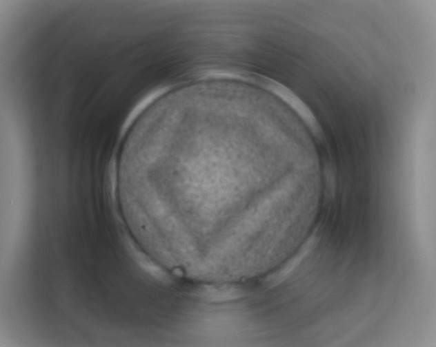 X0000113641198200910091530