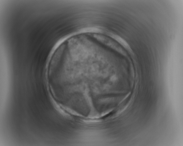 X0000113641200200910091530