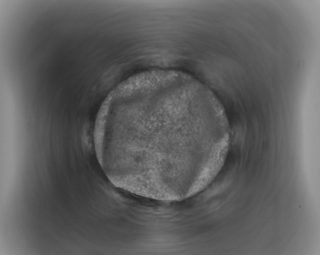 X0000113641202200910091530