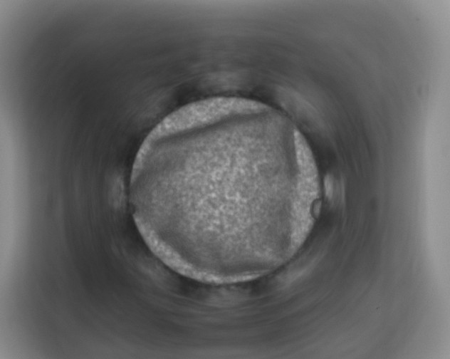 X0000113641203200910091530