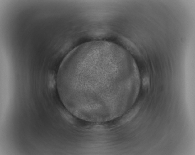 X0000113641204200910091530