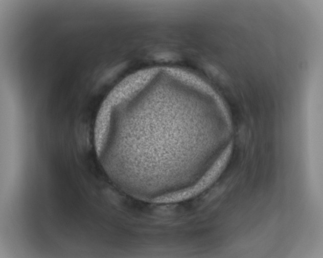 X0000113641205200910091530