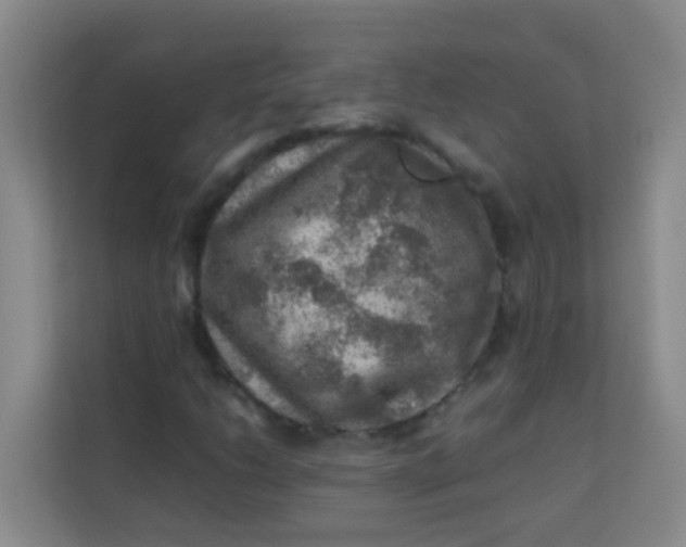 X0000113641206200910091530