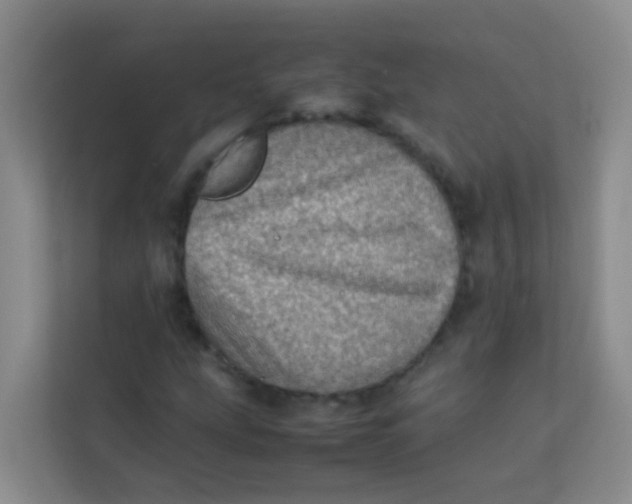 X0000113641207200910091530