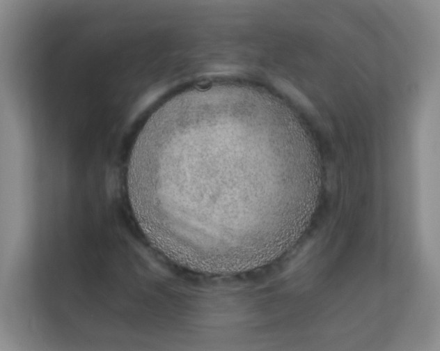 X0000113641208200910091530