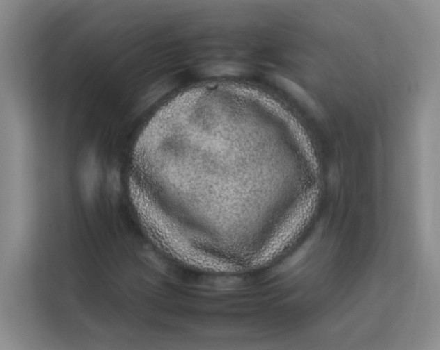 X0000113641209200910091530