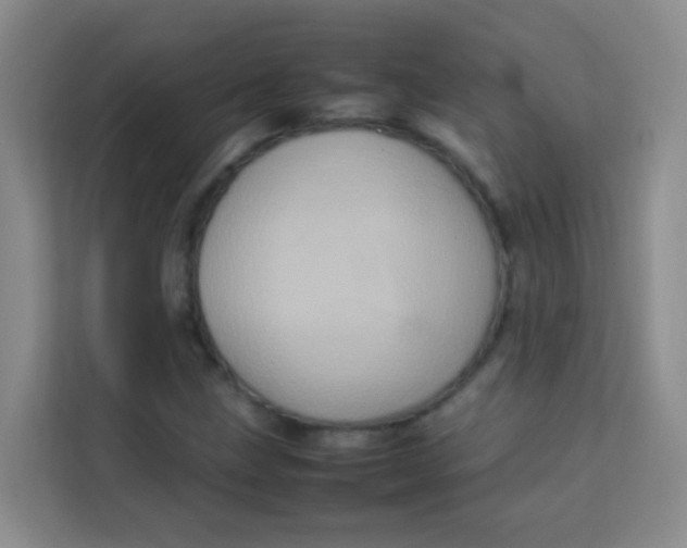 X0000113641211200910091530