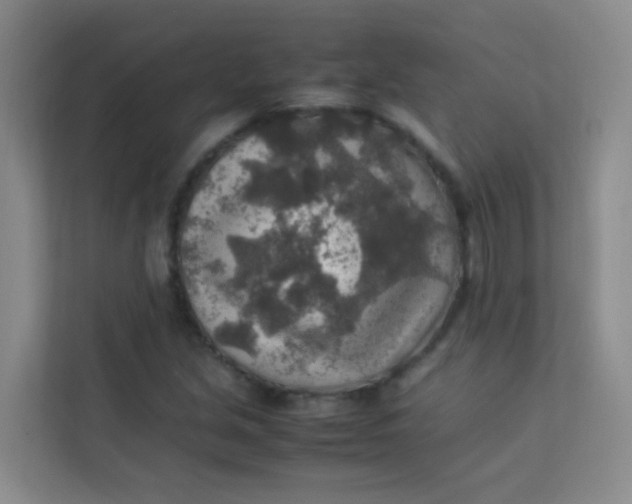 X0000113641213200910091530