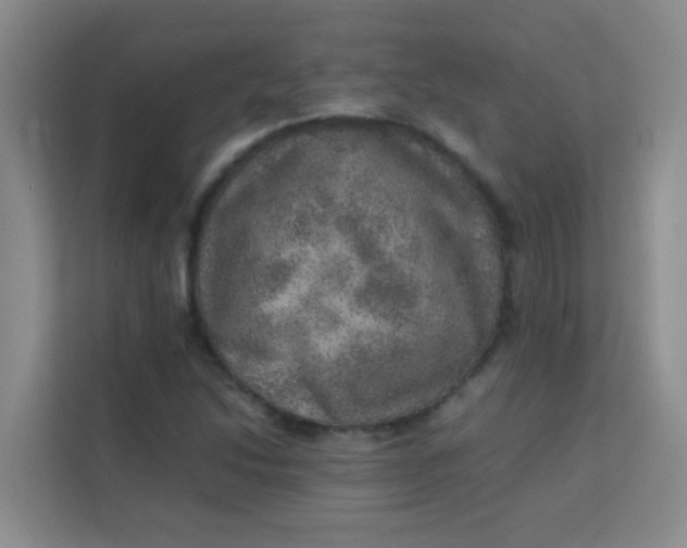 X0000113641214200910091530